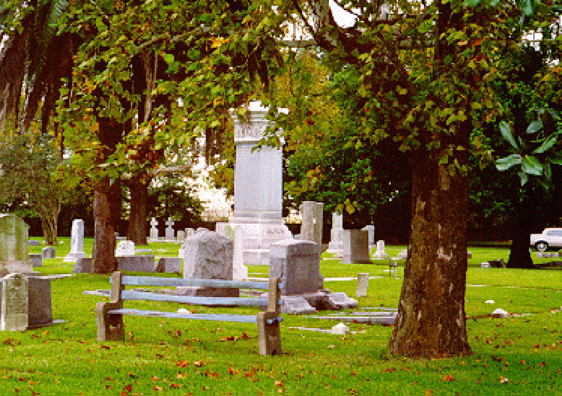 park bench with monuments in background